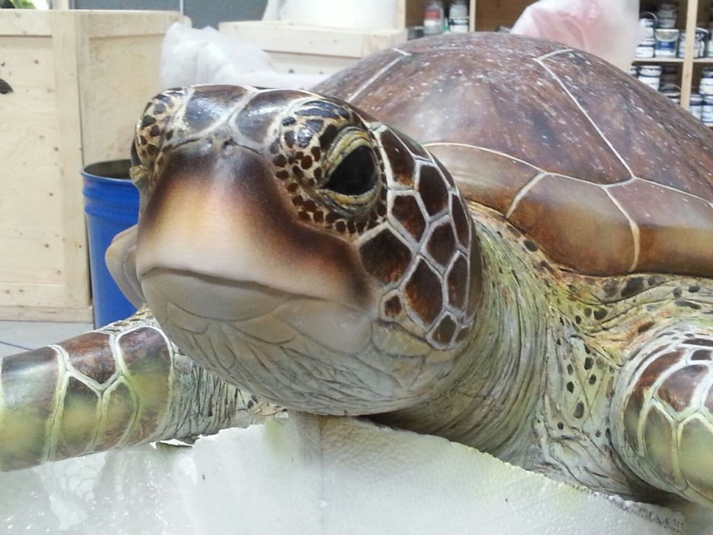 Museum in the Middle East 2016.