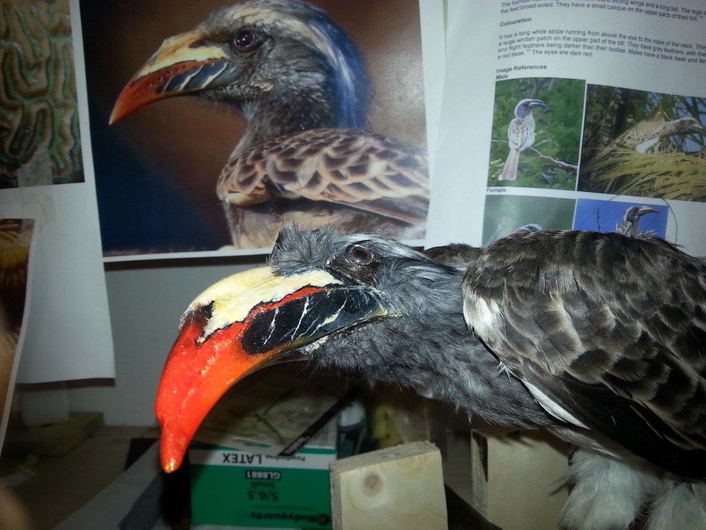 Museum in the Middle East 2016.