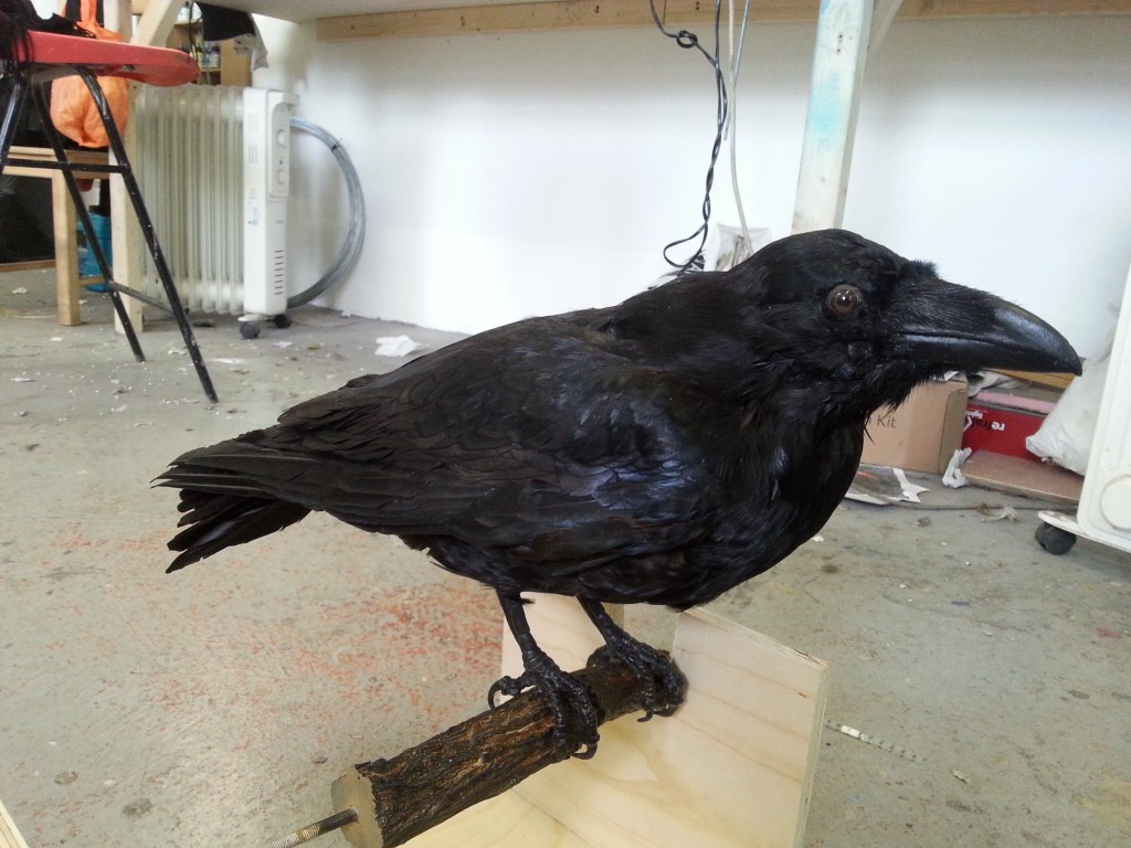 Museum in the Middle East 2016.