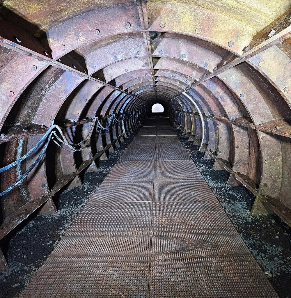 Sault live at Drumsheds, teamwork effort, rust effect 